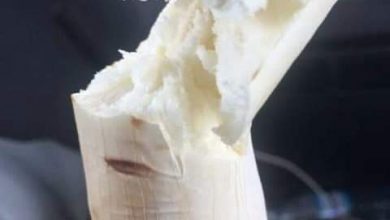 Photo of Benefits Of Eating Cassava