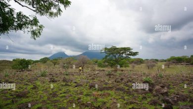 Photo of Land Grabbing Is A Looming Catestrophe