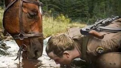 Photo of Drink Where Horses Drink