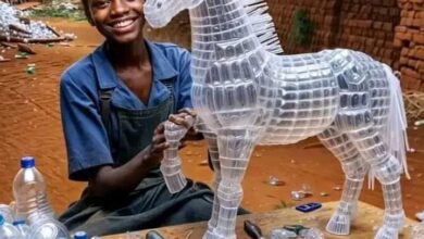 Photo of Sculpting a Greener Future: How One Woman and a Team of Innovators are Combating Climate Change with Plastic Bottle Creations