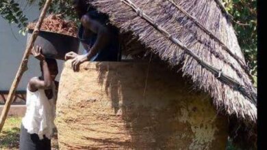 Photo of A Testament To Tradition: The Art Of Grain Storage In Ugandan Homesteads