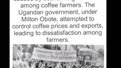 Photo of The National Coffee Bill 2024: A Brewing Storm and a Return to Historic Tensions