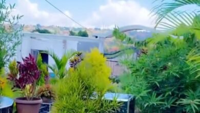 Photo of Talent Manager Ivan Lubega ‘Kama Ivan’ Stuns Fans with His Magnificent Mansion in Bwebajja