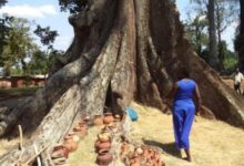 Photo of Tragedy Strikes Nakayima Tree Shrine in Mubende, Leaving Four Dead and Three Injured