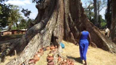 Photo of Tragedy Strikes Nakayima Tree Shrine in Mubende, Leaving Four Dead and Three Injured