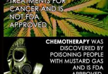 Photo of Did You Know The Efficacy of Cannabis?