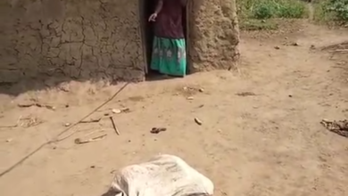 Photo of Watch Video Savage Act: Woman Ties Child in Sack, Community Intervenes