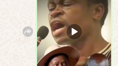 Photo of Kenyan Political Analyst Lumumba Blasts Ugandan and Liberian Politicians as ‘Looters’