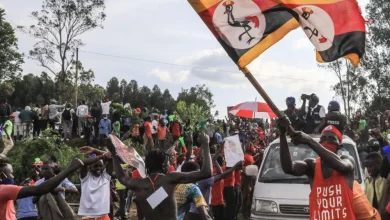 Photo of Abuse of Human Rights, Constitutionalism, and the Cost of Impunity