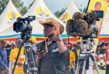 Photo of Swarm of Bees Crashes “Buganda for Museveni” Rally in Masaka: A Bad Omen or Natural Incident