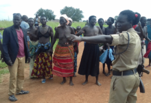 Photo of Land Investigations Under Siege: The  Wall of Corruption and the Struggle for Justice in Uganda
