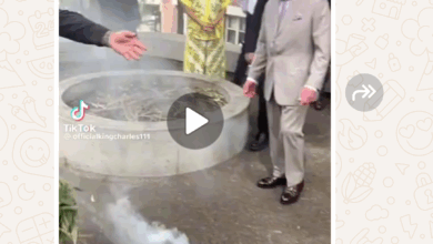 Photo of King Charles III Caught on Camera Leading Mysterious Ritual Ceremony