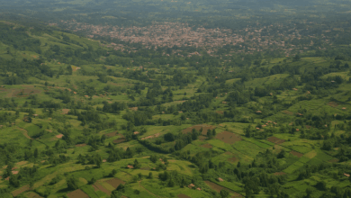 Photo of Excitement as Uganda Discovers Massive Gold Deposits in Eastern Region