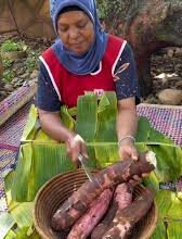 Photo of Staple Foods  Don’t Cause Diabetes: UNCC Pronounces