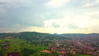 Photo of Otafiire, the Buikwe Land and a Marijuana Farm: A Textbook Case of NRM’s Primitive Accumulation