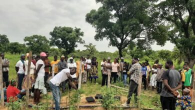 Photo of Demeter Ghana Trains 100 Farmers in Tomato Cultivation: A Model Uganda Can Learn From