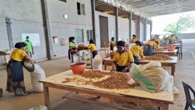 Photo of Aavishkaar Capital’s Global Supply Chain Support Fund (GSCSF) Supports Horizon Group Africa with USD 5 Million Loan to Scale Operations