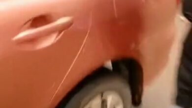 Photo of Shocking Video Emerges of Plain-Clothed Operatives Abducting Civilians: The Ghosts of Uganda’s Past Return