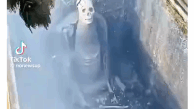 Photo of China’s Unusual Burial Tradition Captured on TikTok Sparks Global Curiosity and Debate