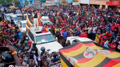 Photo of Acholi Elders Condemn Violence in Nwoya, Amuru and Gulu — Join National Outcry for Peaceful 2026 Elections