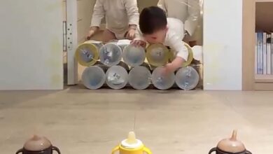 Photo of The Wisdom of Toddlerhood: A Tale of Sharing and Greed