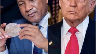 Photo of Botswana’s President Duma Gideon Boko Declines White House Invitation, Insists on Talks at Home