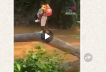 Photo of Unverified Viral Clip of Pupils Crossing a River Sparks Debate on Rural Education Access in Uganda