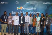 Photo of Collaboration and Partnership Is the Only Cure for Carbon Market Friction