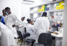 Photo of Growing Debate: Are Genetically Modified Foods a Hidden Risk to Africa’s Food Sovereignty?