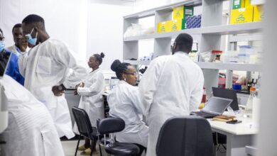 Photo of Growing Debate: Are Genetically Modified Foods a Hidden Risk to Africa’s Food Sovereignty?