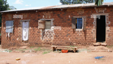 Photo of The Unseen Impact: How Laws Often Hurt the Poor More