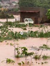 Photo of NEMA Halts Kampala Wetland Demolitions for One Month After KCCA Appeal