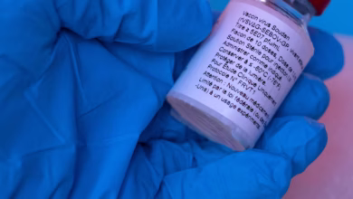 Photo of The Hunt For A New Ebola Vaccine: Two Scientists Explain The Challenges