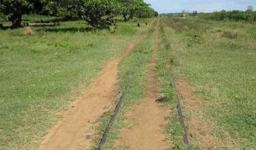 Photo of Mukura Massacre: Remembering the 69 Ugandans Who Never Came Out of the Train Wagon Alive