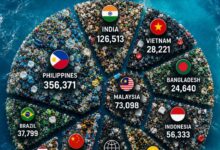 Photo of Plastic Tsunami: The 10 Countries Sending the Most Waste into the World’s Oceans—and Why Every Nation Should Be Alarmed