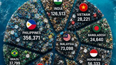 Photo of Plastic Tsunami: The 10 Countries Sending the Most Waste into the World’s Oceans—and Why Every Nation Should Be Alarmed