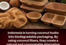 Photo of From Coconut Waste to Green Wealth: How Indonesia Is Turning Husks into Eco-Friendly Packaging
