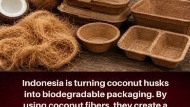 Photo of From Coconut Waste to Green Wealth: How Indonesia Is Turning Husks into Eco-Friendly Packaging