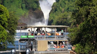 Photo of Uganda Opens National Game Parks Free of Charge for Three Days to Mark World Tourism Day