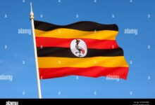 Photo of Defending the Tenets of Freedom of Speech and Expression in Uganda
