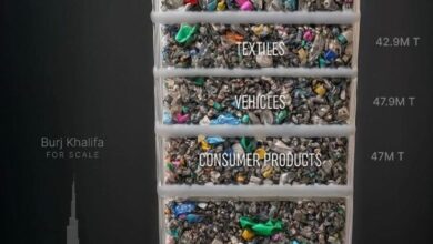 Photo of Plastic Pollution Begins Long Before The Bin: Why The World Must Rethink How Plastic Is Designed