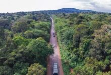 Photo of Uganda’s Forests Could Become A New Source Of Climate Finance
