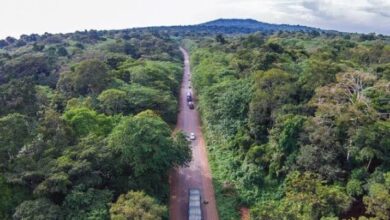 Photo of Uganda’s Forests Could Become A New Source Of Climate Finance