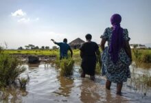 Photo of Drought, Food Prices And El Niño: Uganda Faces A New Food-Security Test